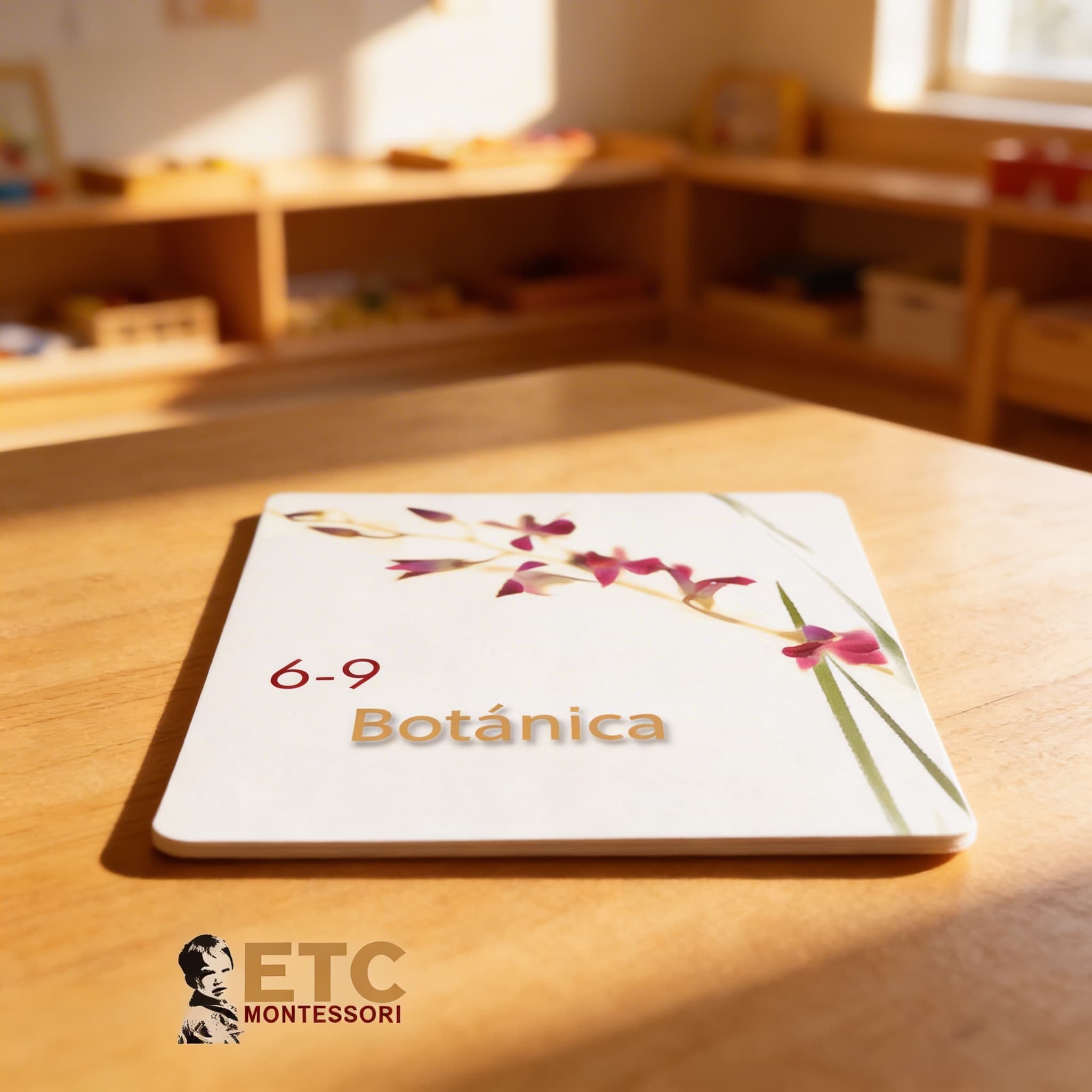 Lower Elementary Botany Cards — Scientific Plant Nomenclature — Child learning