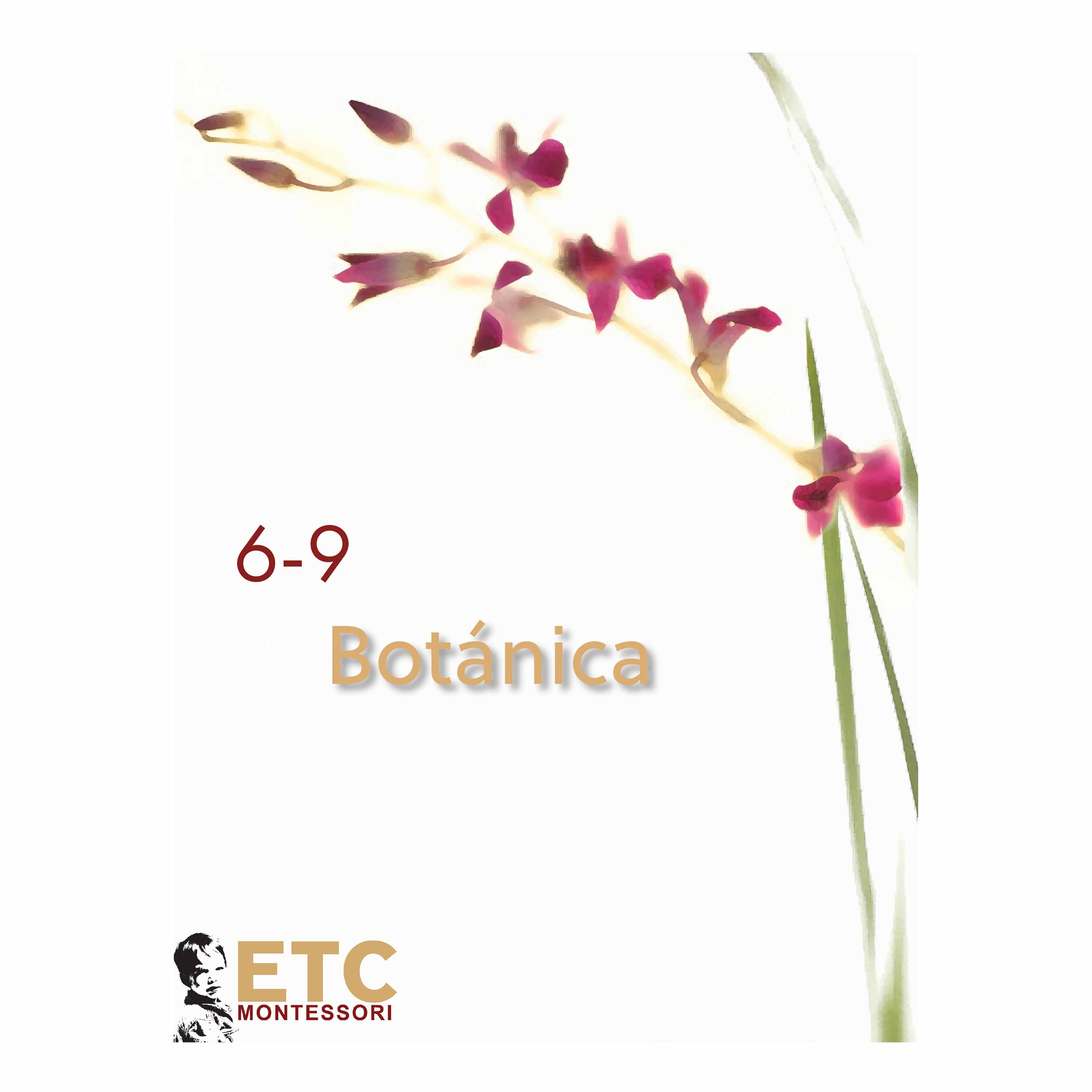 Lower Elementary Botany Cards — Scientific Plant Nomenclature — Catalog view